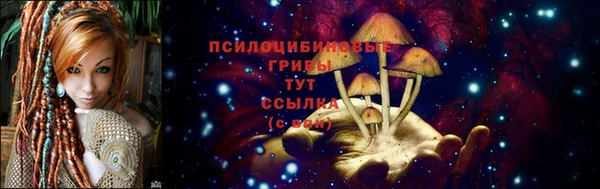молекула духа Алзамай