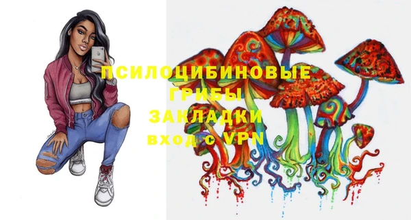 молекула духа Алзамай