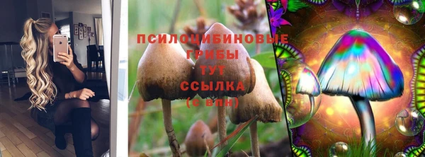 молекула духа Алзамай