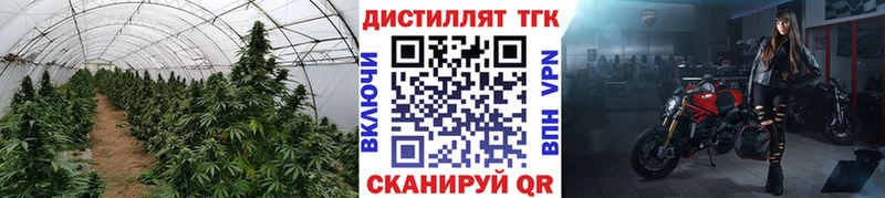 Дистиллят ТГК THC oil  купить   Ставрополь 