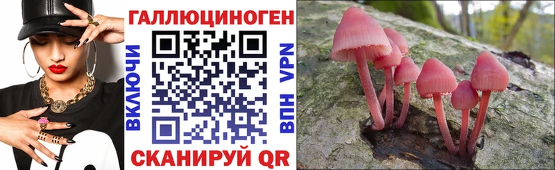 Галлюциногенные грибы Magic Shrooms Ставрополь